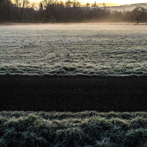 Beeswax Emergency Candles (4-Pack)