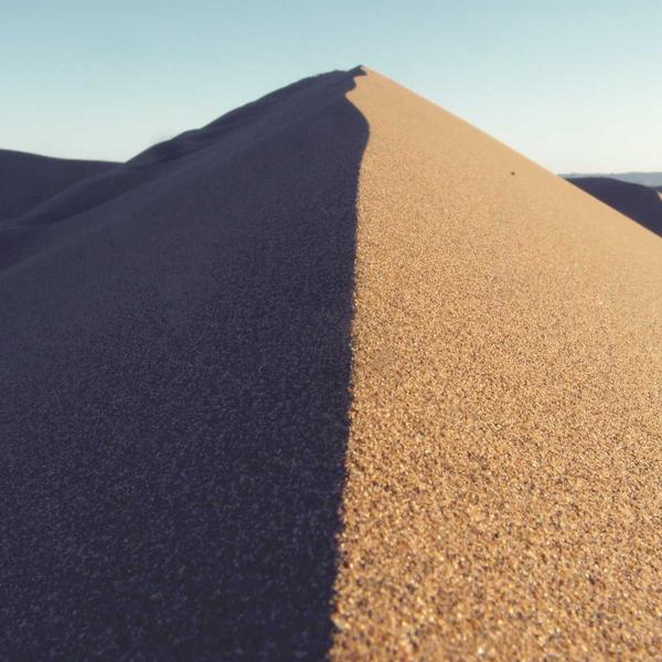 Birch Bark Tea Sachets (10ct)