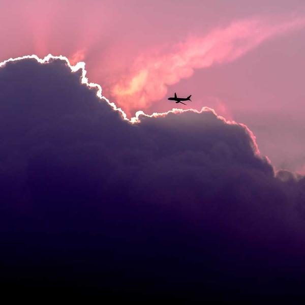 Birch Handle Hatchet