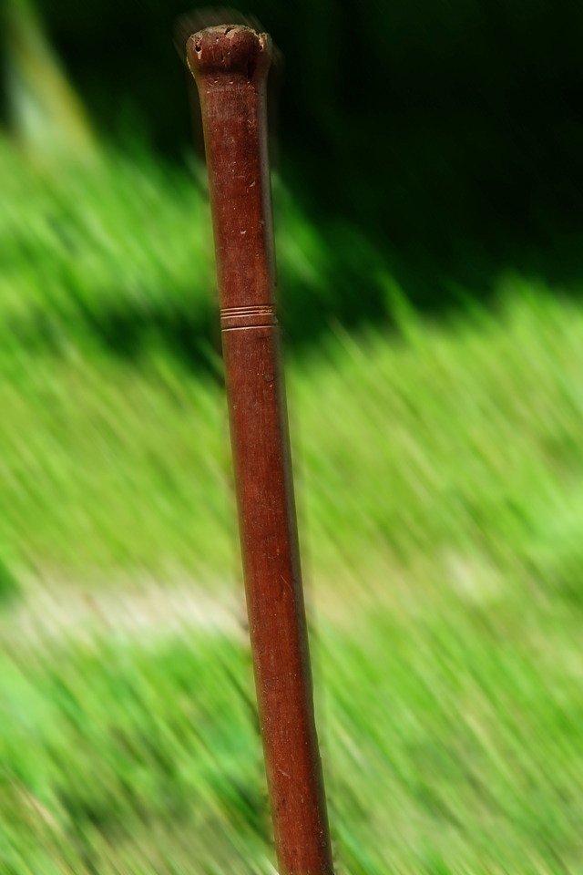 Hardwood Walking Staff